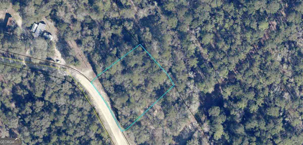 Vacant Land For Sale - LOT 7 Riverbank Road<br/> Reidsville, GA 30453