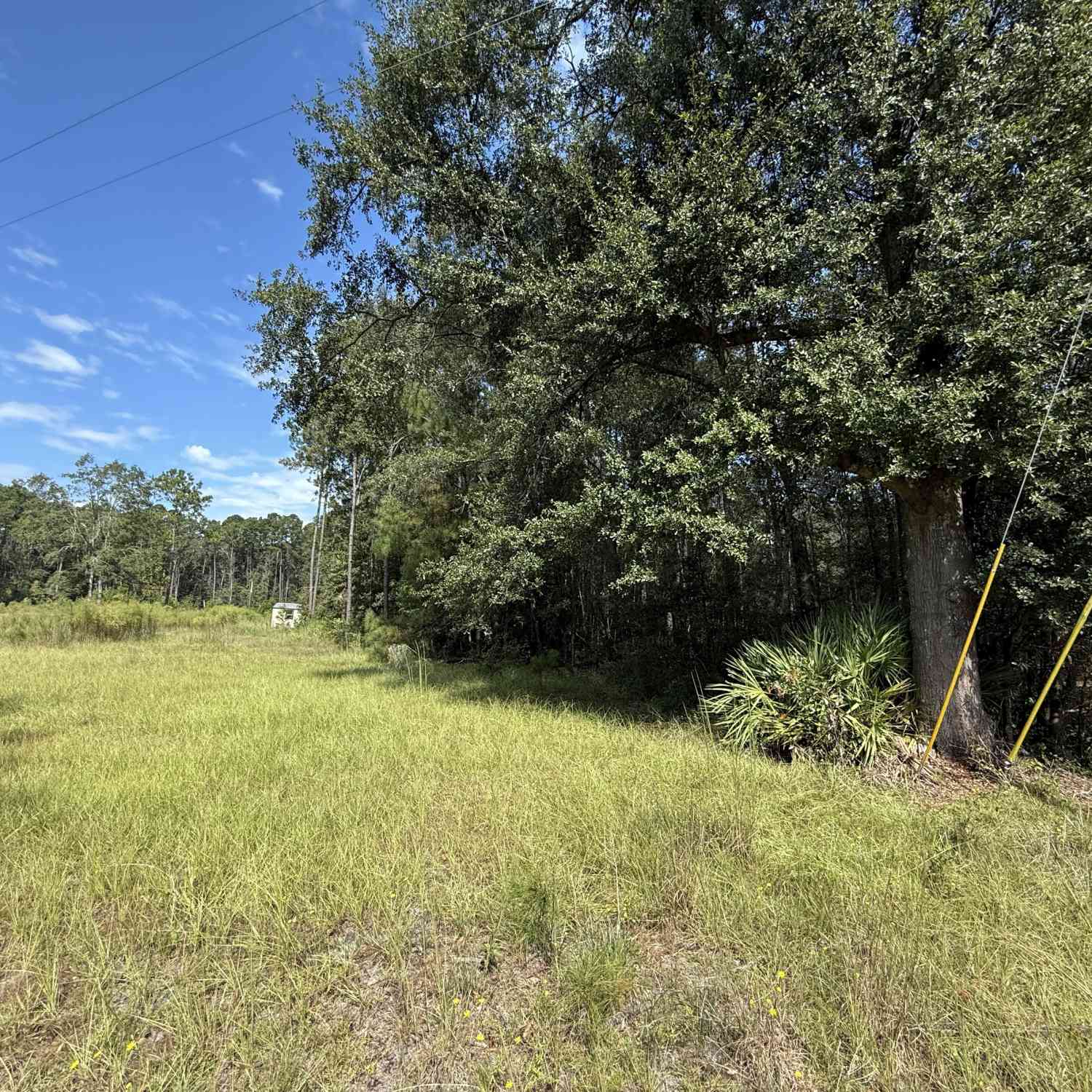 Vacant Land For Sale - 124 Oak Street<br/> Rincon, GA 31326