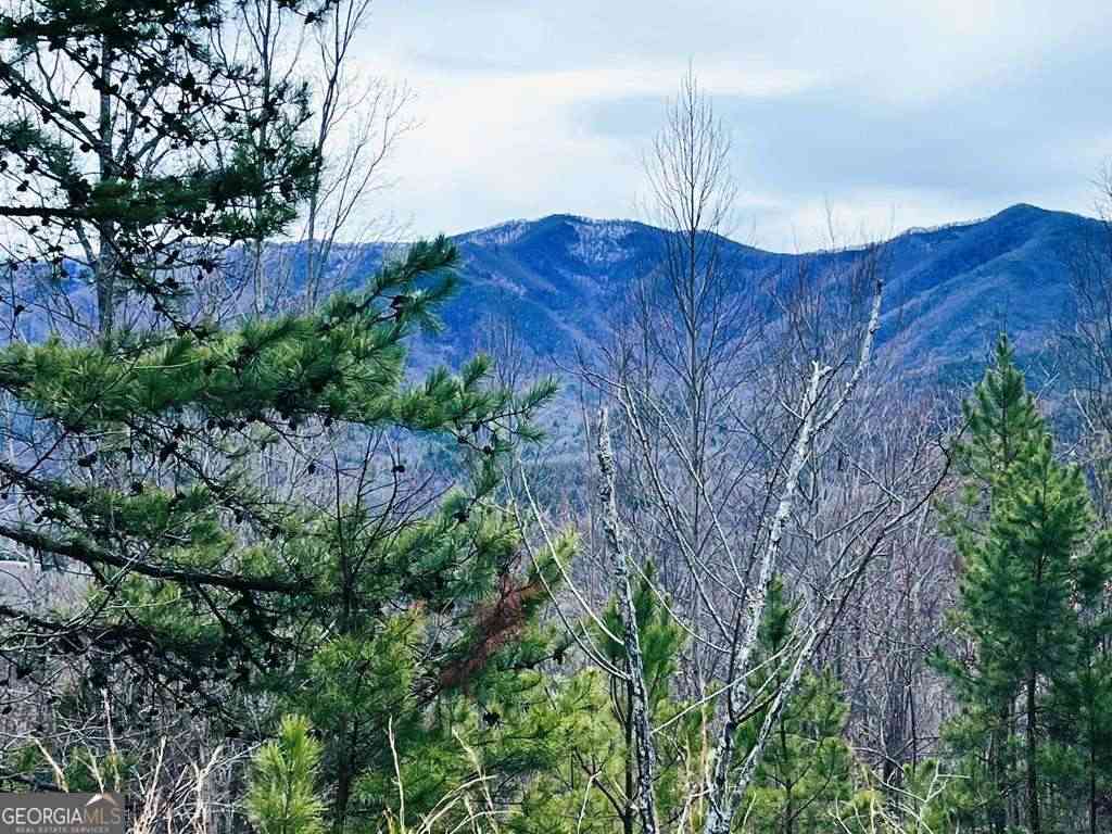 Vacant Land For Sale - 1441 Valley View Heights Lane<br/> Andrews, NC 28901
