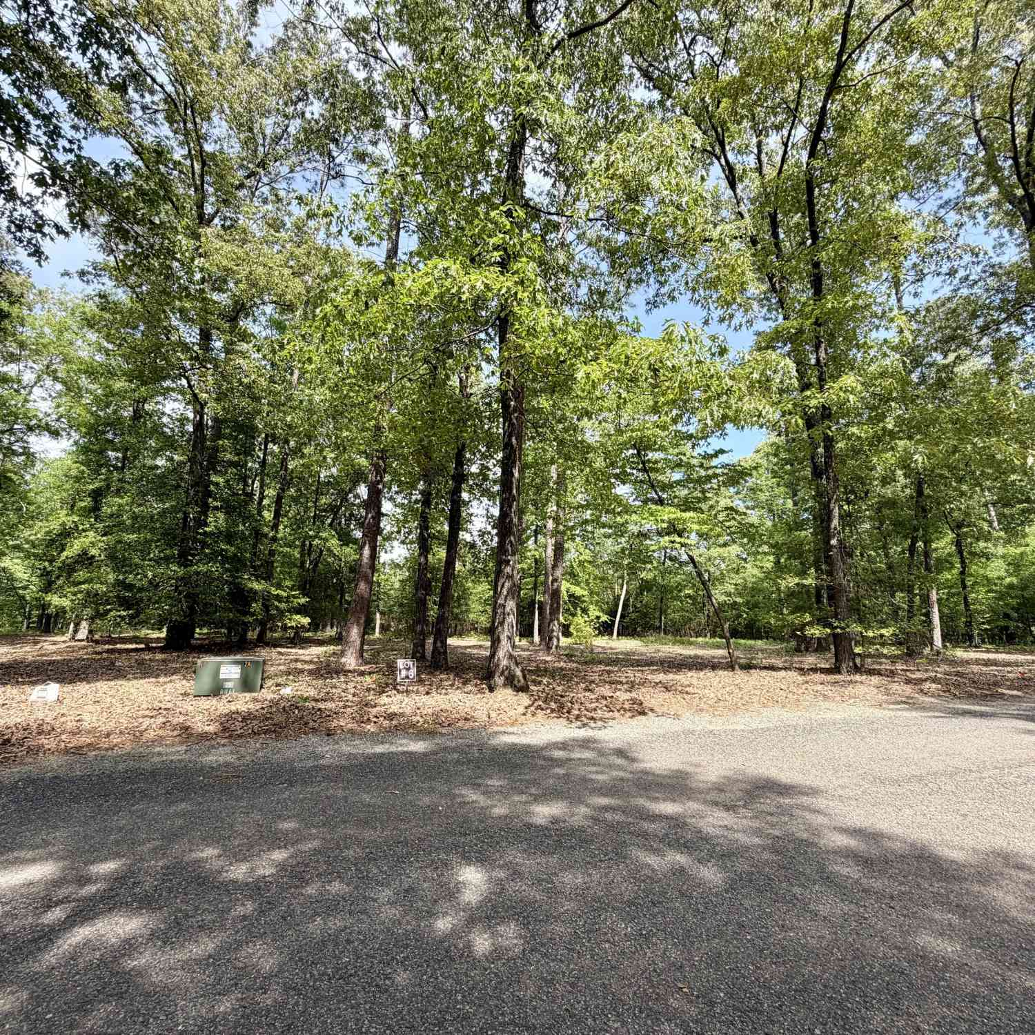 Vacant Land For Sale - Deer Creek Trail #LOT 6<br/> Dublin, GA 31021