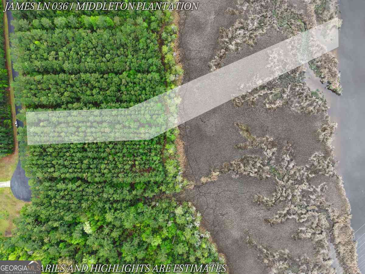 Vacant Land For Sale - LOT 36 James Lane<br/> White Oak, GA 31568
