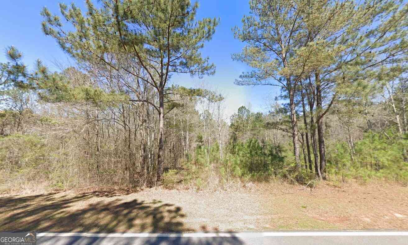 Vacant Land For Sale - 581 Leonard Road<br/> Troup County, Lagrange, GA 30241