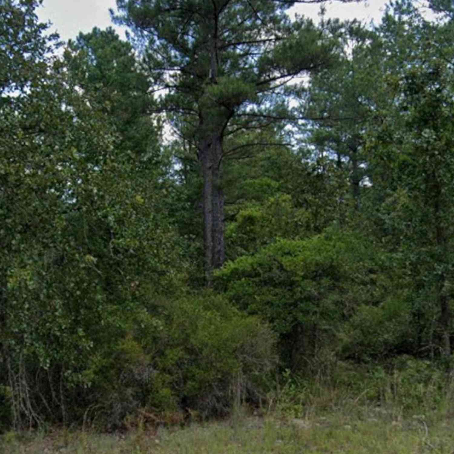 Vacant Land For Sale - Addie Trail<br/> Dublin, GA 31021