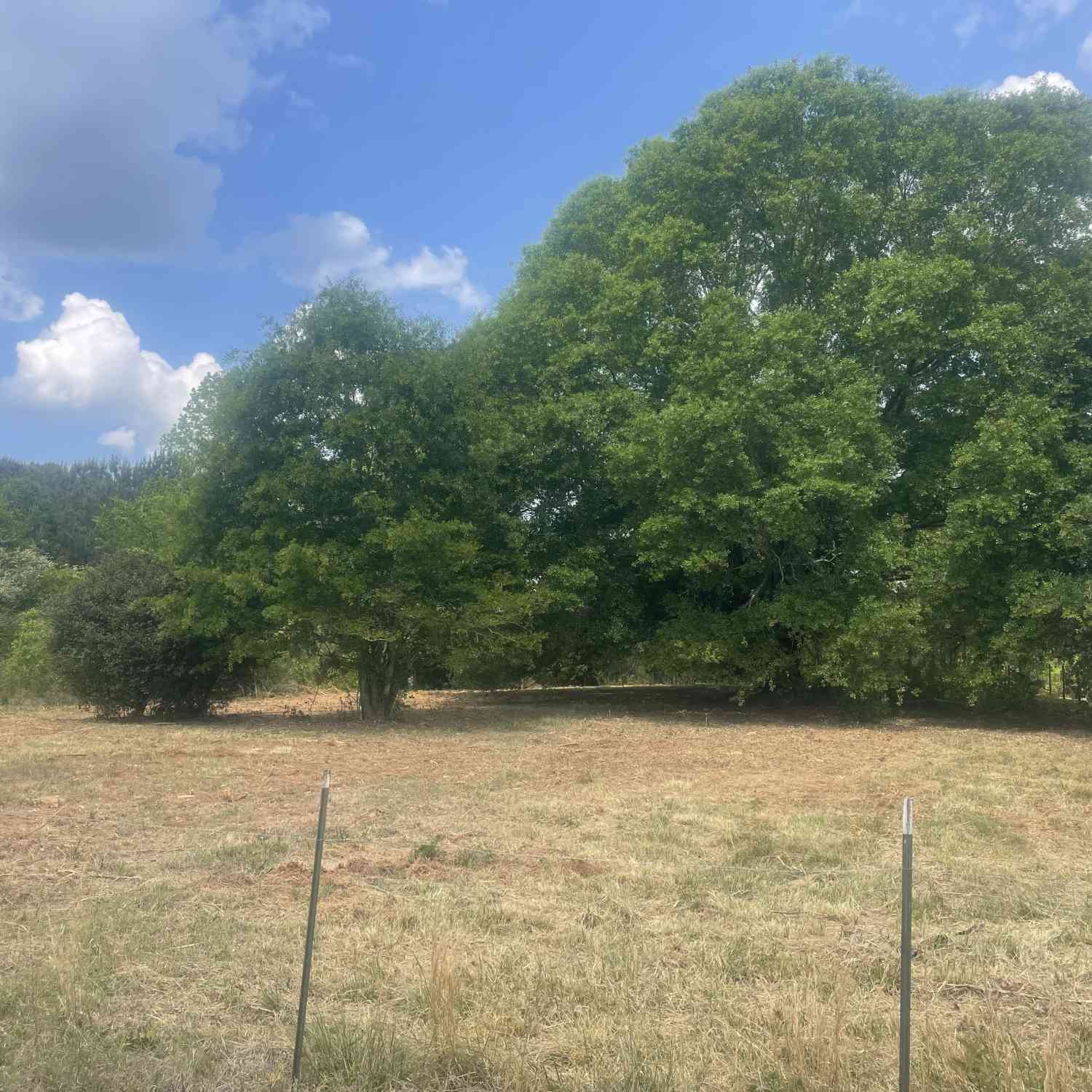 Vacant Land For Sale - Thankful Road<br/> Madison, GA 30650