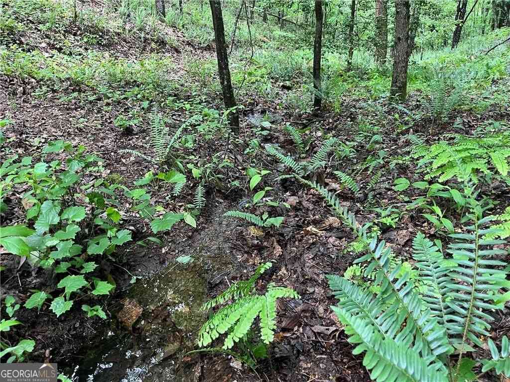 Vacant Land For Sale - 1720 Rebekah Ridge Road<br/> Talking Rock, GA 30175