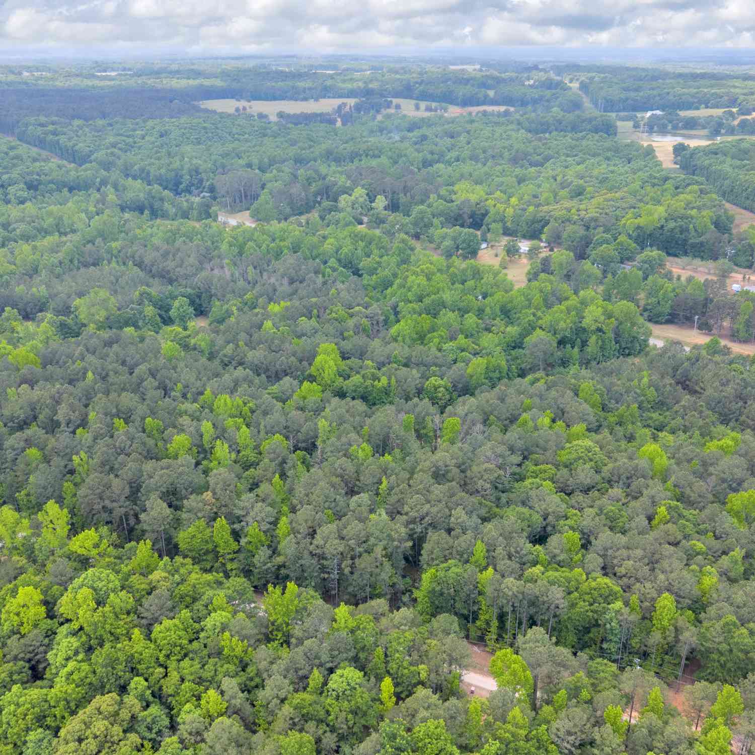 Vacant Land For Sale - 4343 Hwy 106 S<br/> Madison County, Hull, GA 30646