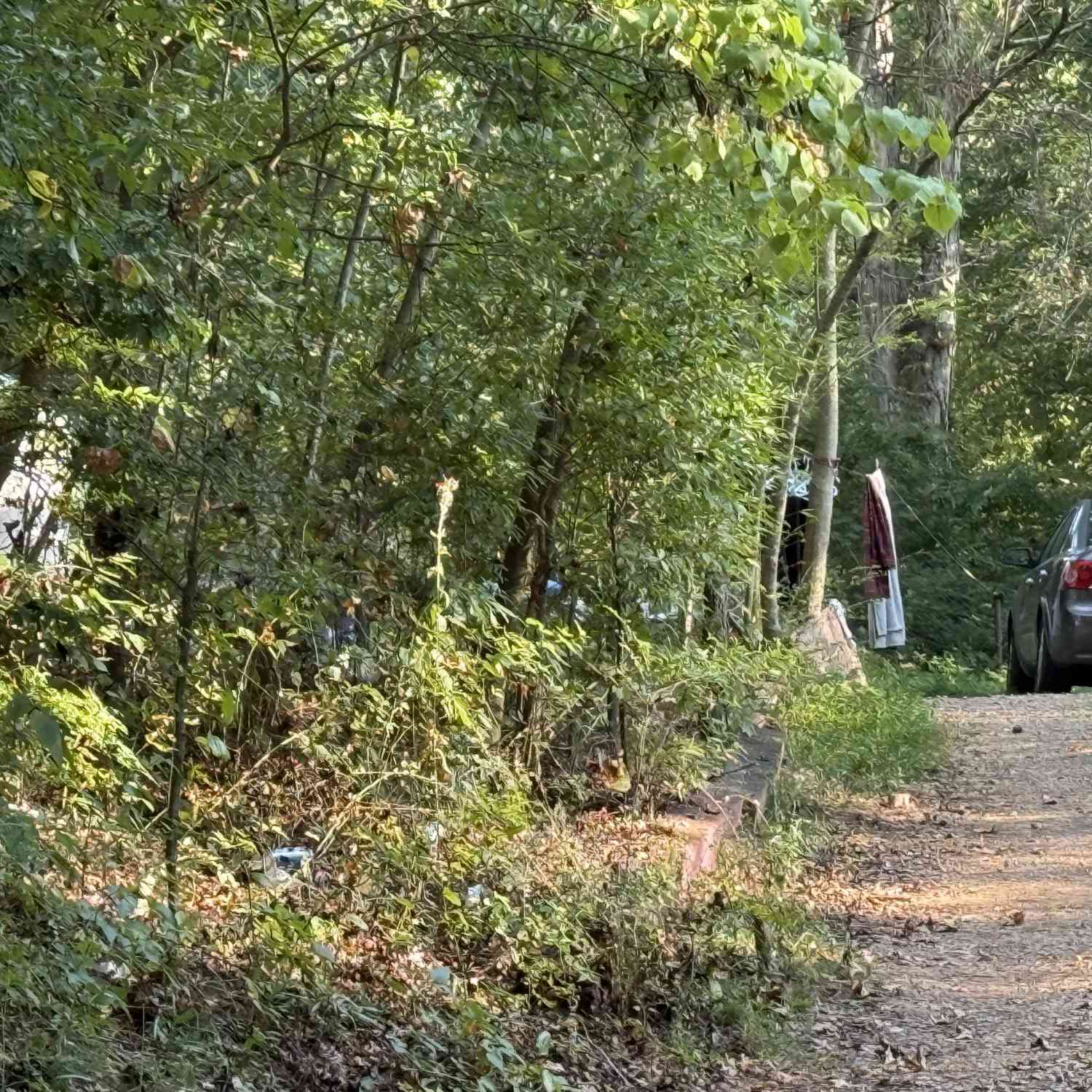 Vacant Land For Sale - 158 N Villa Road<br/> Carroll County, Villa Rica, GA 30180