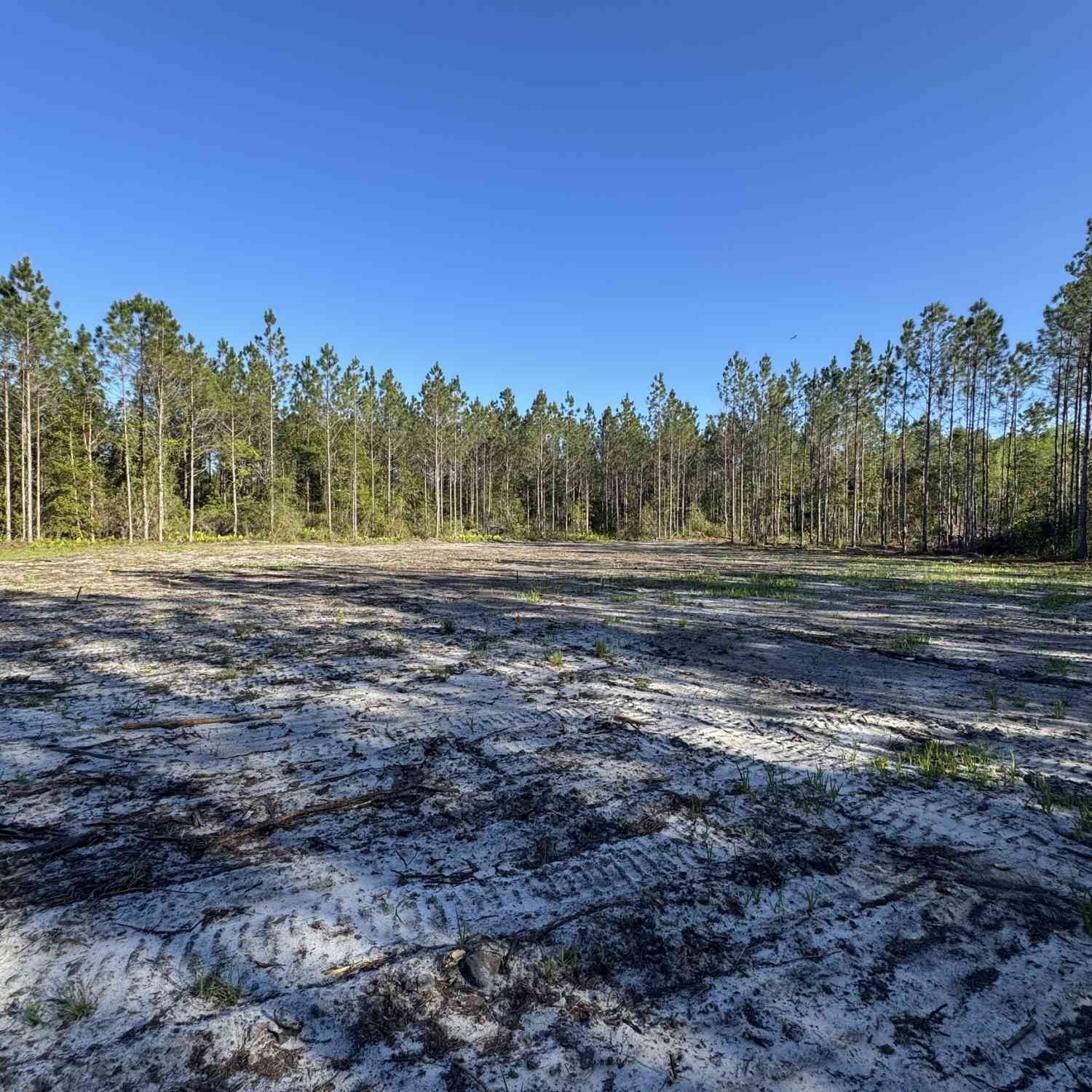 Vacant Land For Sale - 4490 Ga Highway 259<br/> White oak, GA 31568