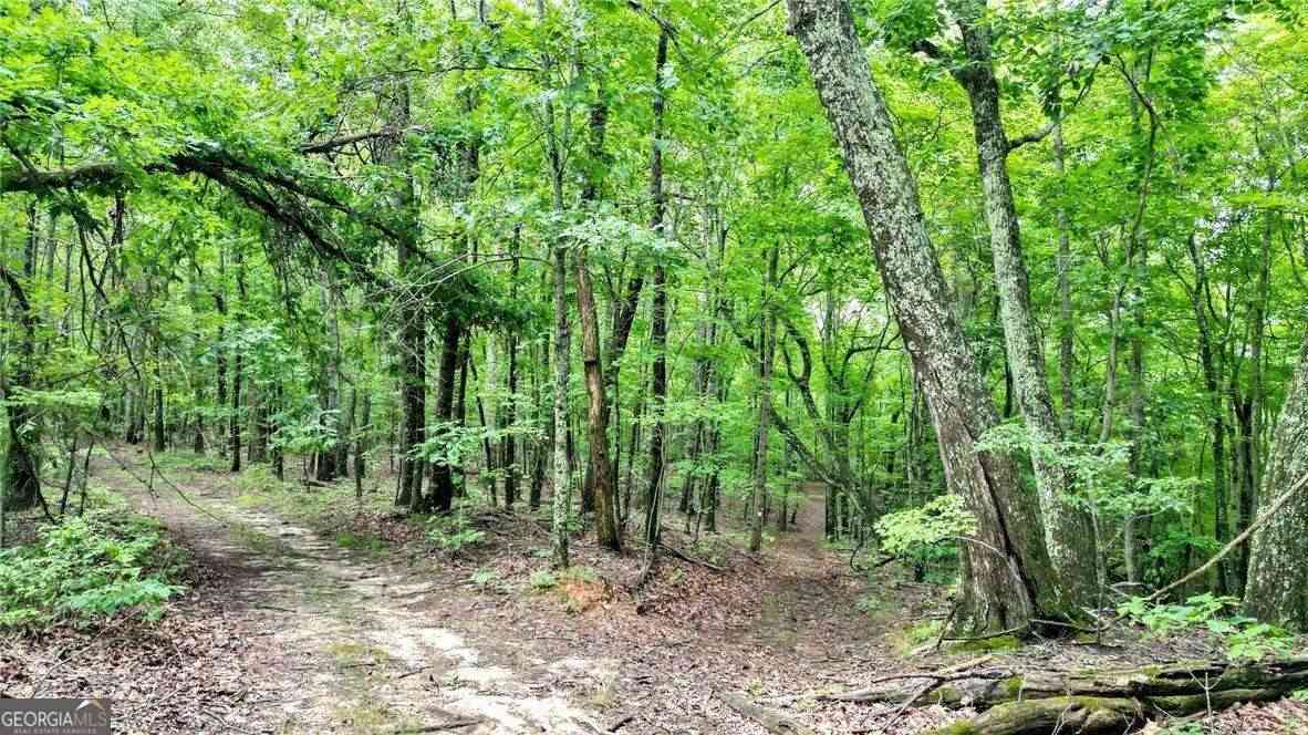 Vacant Land For Sale - TRT B Cascade Drive<br/> Jasper, GA 30143