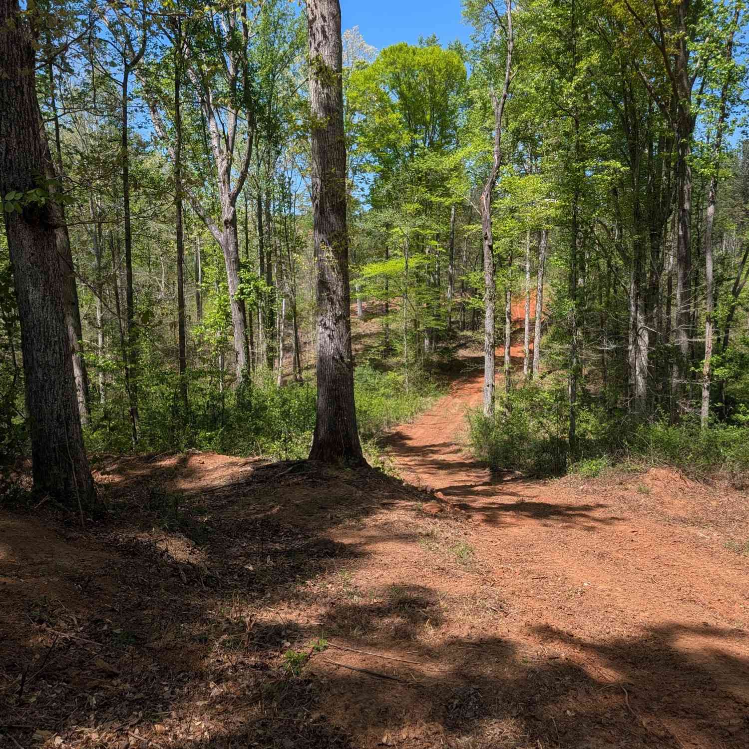 Vacant Land For Sale - 34 Magnum Lane<br/> Jackson County, Pendergrass, GA 30567