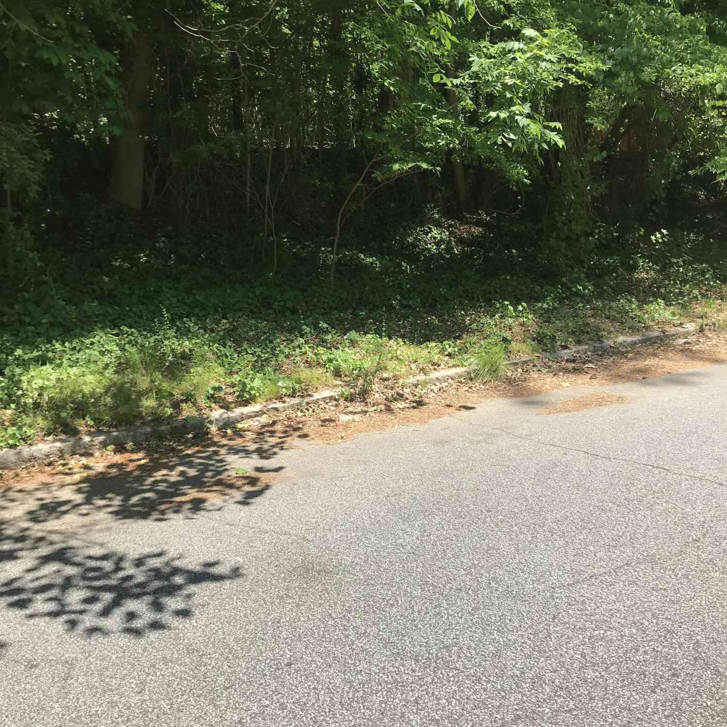 Vacant Land For Sale - Wells Drive SW<br/> Fulton County, Atlanta, GA 30311