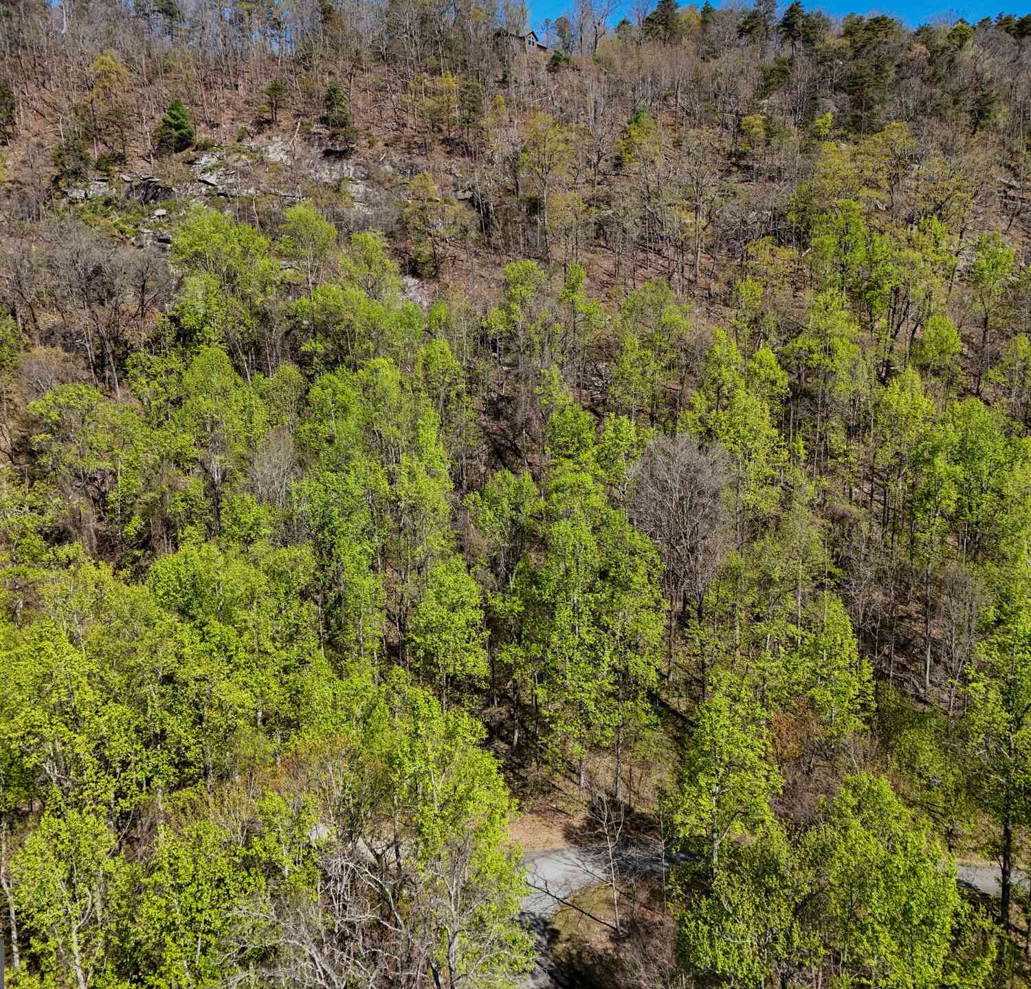 Vacant Land For Sale - Winding View Drive<br/> Rabun County, Clayton, GA 30525