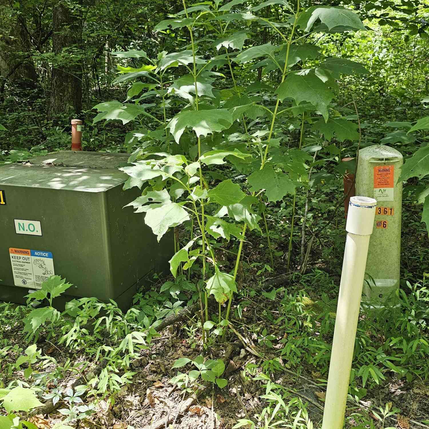 Vacant Land For Sale - Winding View Drive<br/> Rabun County, Clayton, GA 30525
