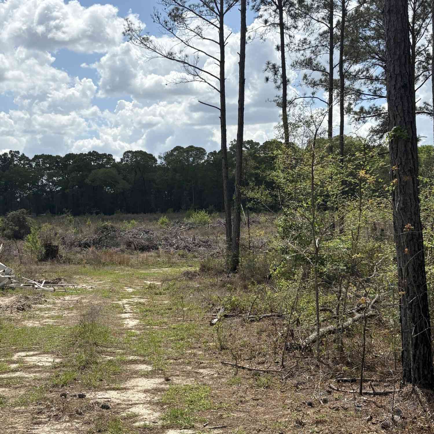 Vacant Land For Sale - T2 Dc Hardie Road<br/> Gordon, GA 31031