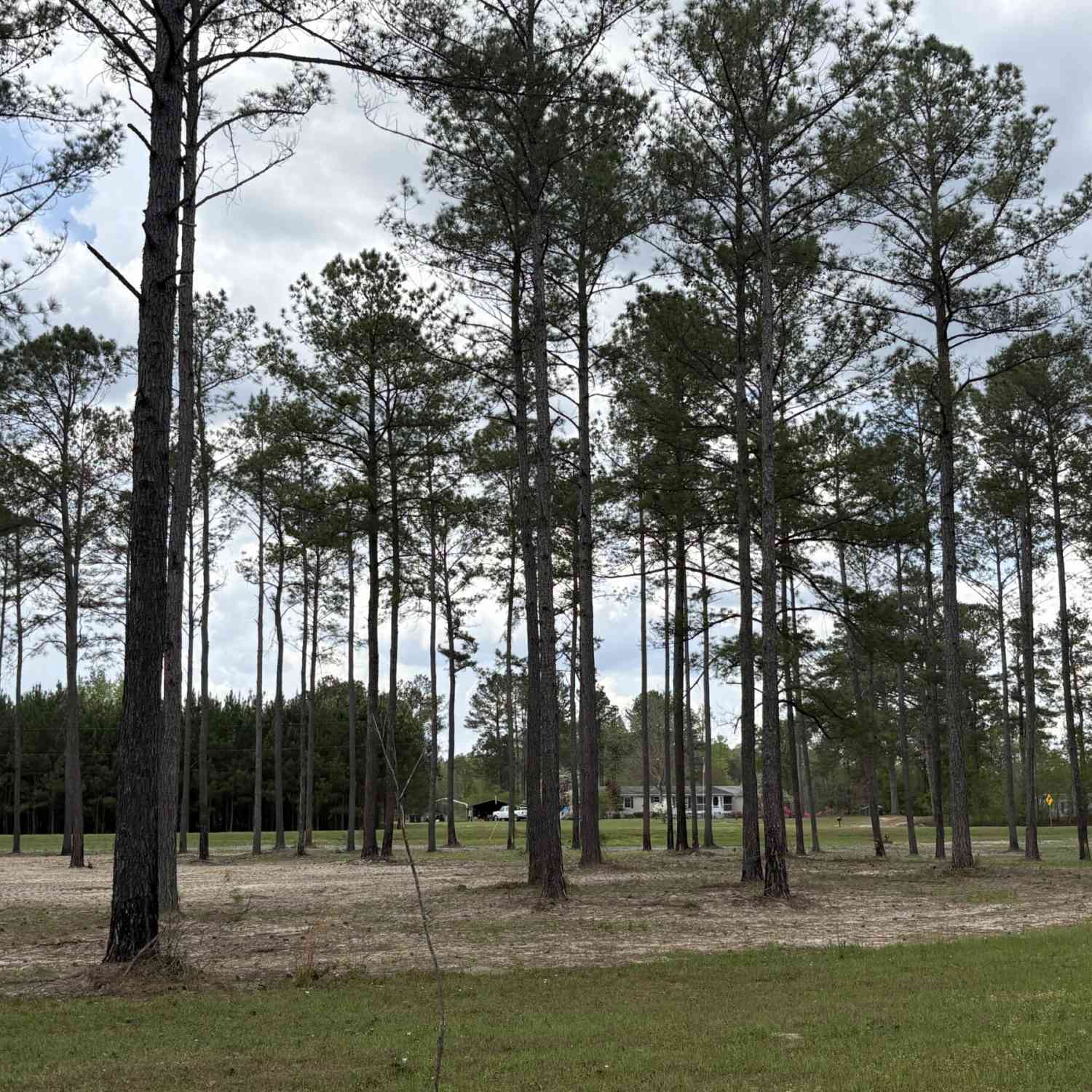 Vacant Land For Sale - T3 Dc Hardie Road<br/> Gordon, GA 31031