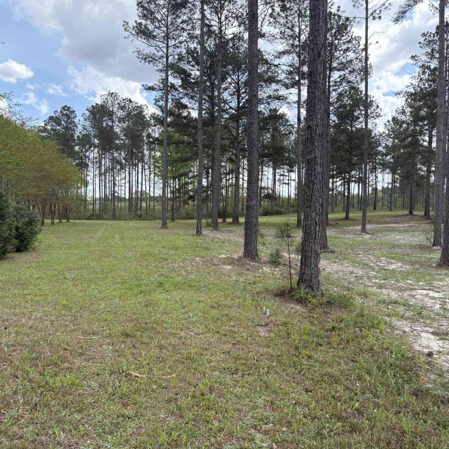 Vacant Land For Sale - T4 Dc Hardie Road<br/> Gordon, GA 31031