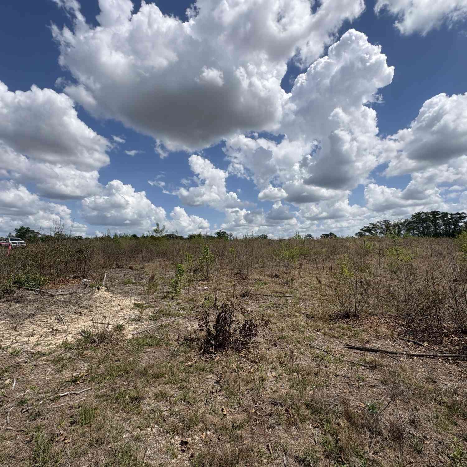 Vacant Land For Sale - T5 Dc Hardie Road<br/> Gordon, GA 31031