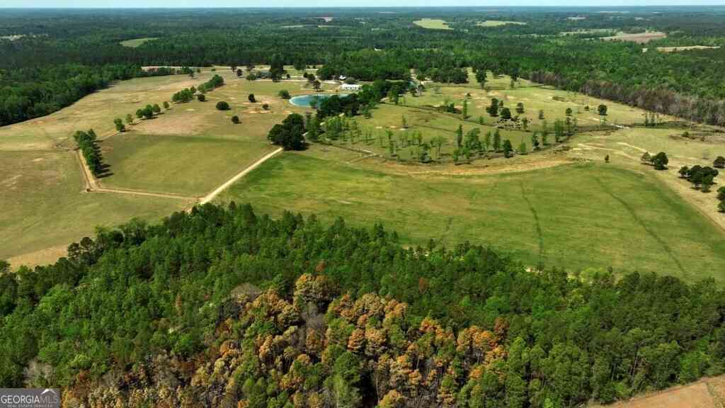 Vacant Land For Sale - 5391 Big Pine Road<br/> Garfield, GA 30425