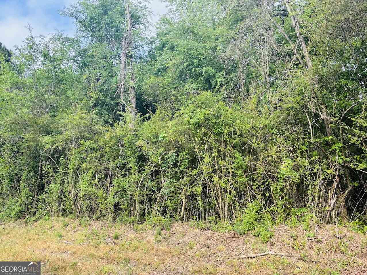 Vacant Land For Sale - Wall Street<br/> Tallapoosa County, Tallassee, AL 36078