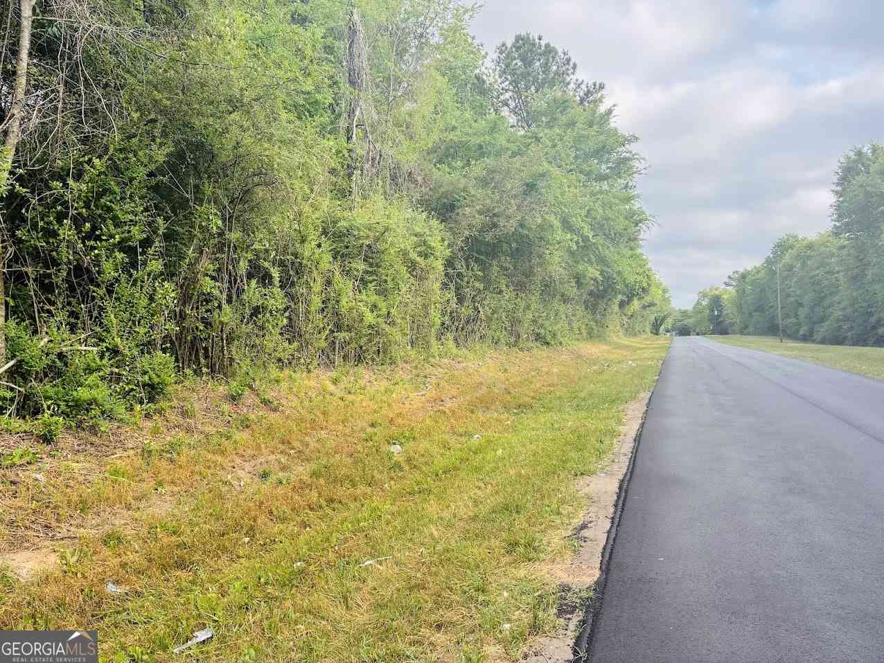 Vacant Land For Sale - Wall Street #TRACT A<br/> Tallapoosa County, Tallassee, AL 36078