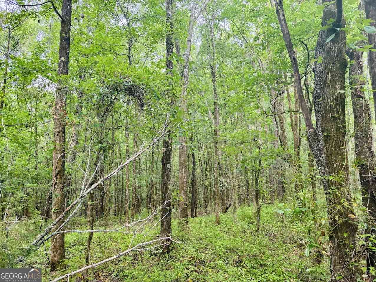 Vacant Land For Sale - Wall Street #TRACT B<br/> Tallapoosa County, Tallassee, AL 36078