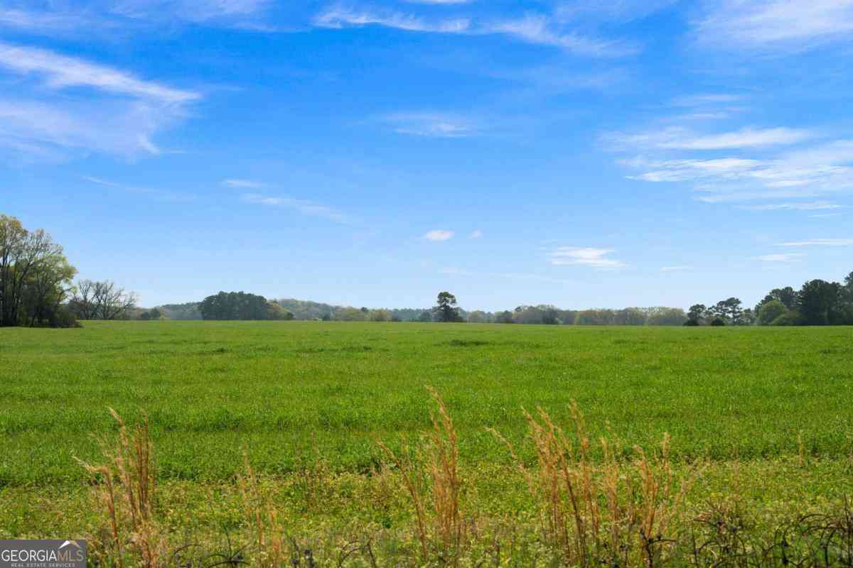 Vacant Land For Sale - Miller Farm - Tract 3 Road<br/> Bartow County, Taylorsville, GA 30178