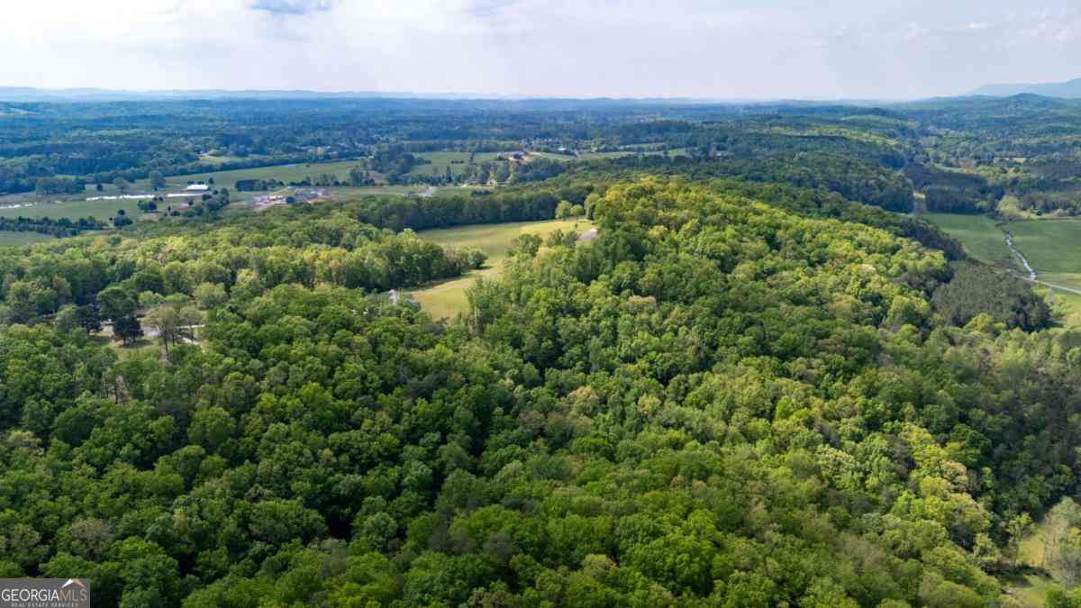 Vacant Land For Sale - Bicentennial Trail<br/> Rock Spring, GA 30739