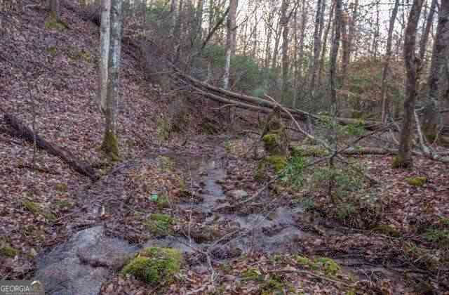Vacant Land For Sale - 36.78 AC Old Hwy 76<br/> Morganton, GA 30560