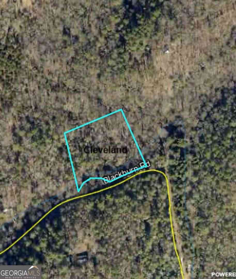 Vacant Land For Sale - Blackburn Road<br/> Cleveland, GA 30528