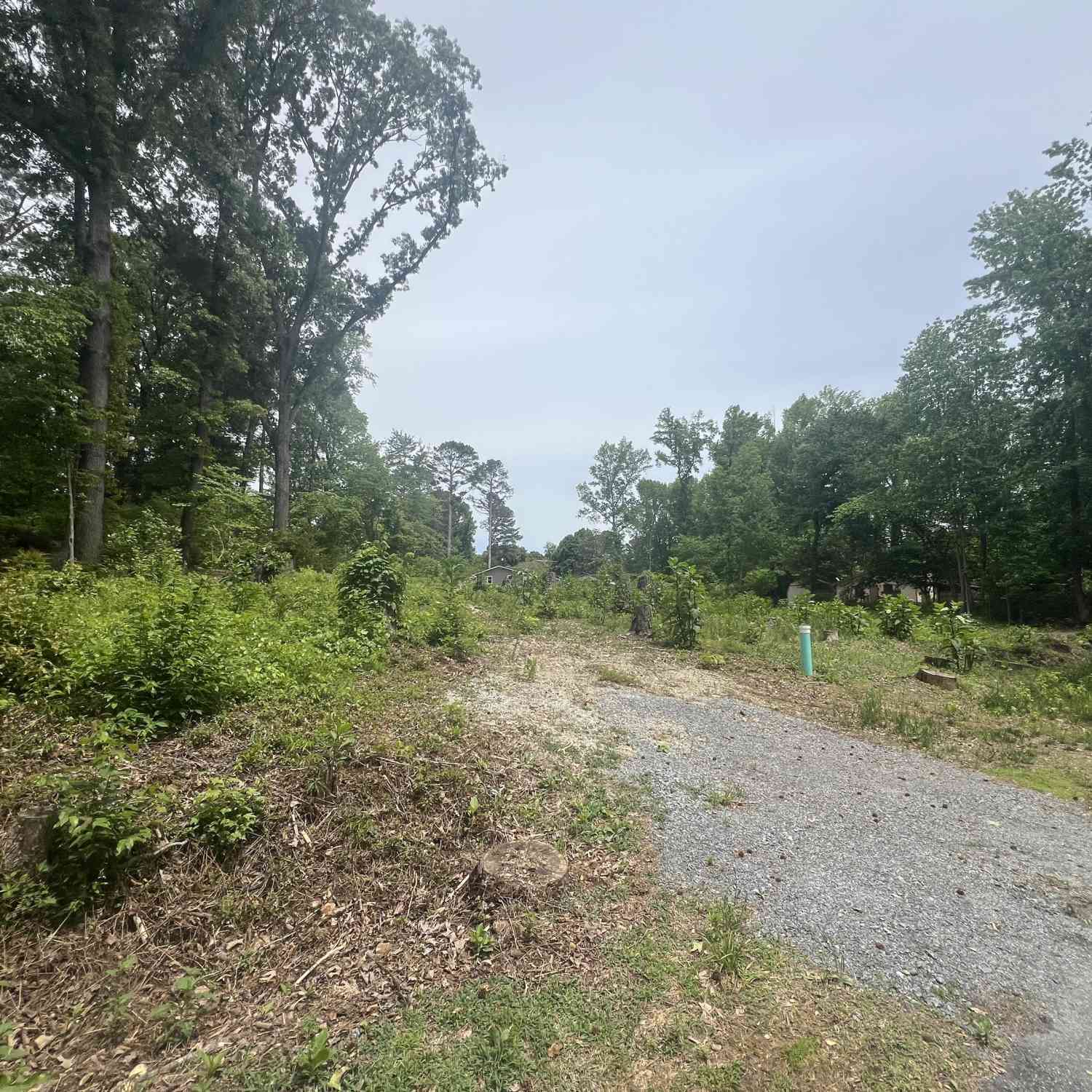 Vacant Land For Sale - 4630 White Lake Drive NW<br/> Acworth, GA 30101