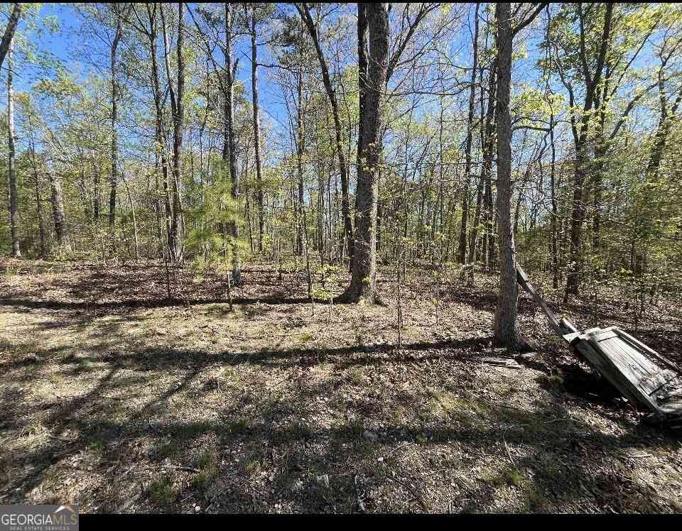 Vacant Land For Sale - Lafayette<br/> Rocky Face, GA 30740