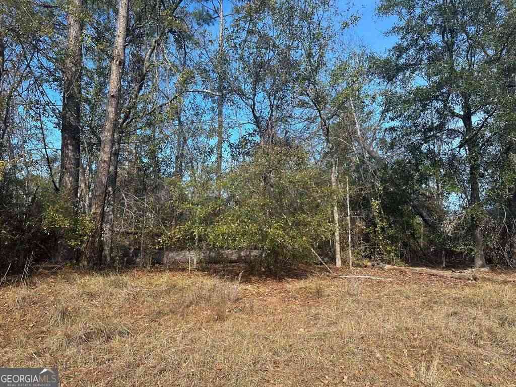 Vacant Land For Sale - Tommie Drive<br/> Vidalia, GA 30474