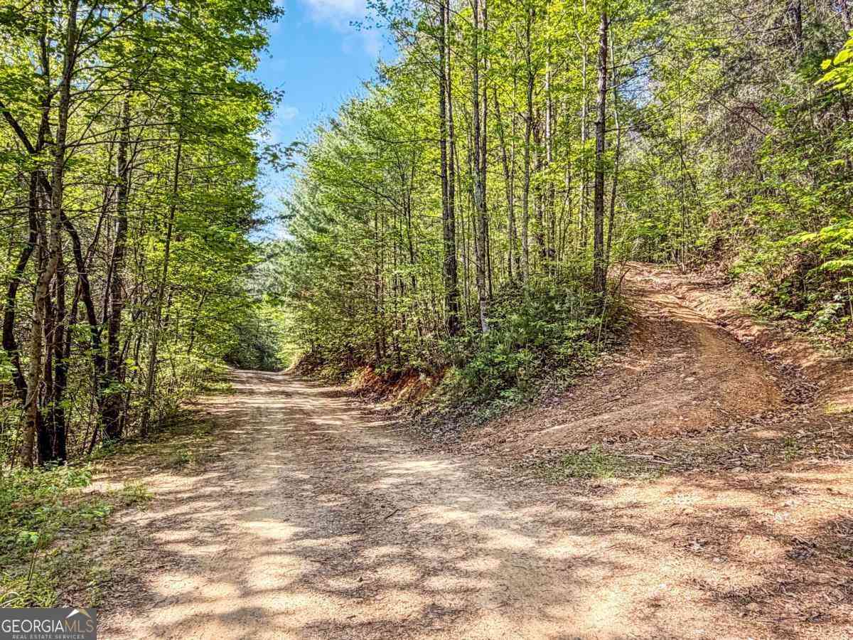 Vacant Land For Sale - 80 ACRES Valley Lake Road<br/> Mineral Bluff, GA 30559