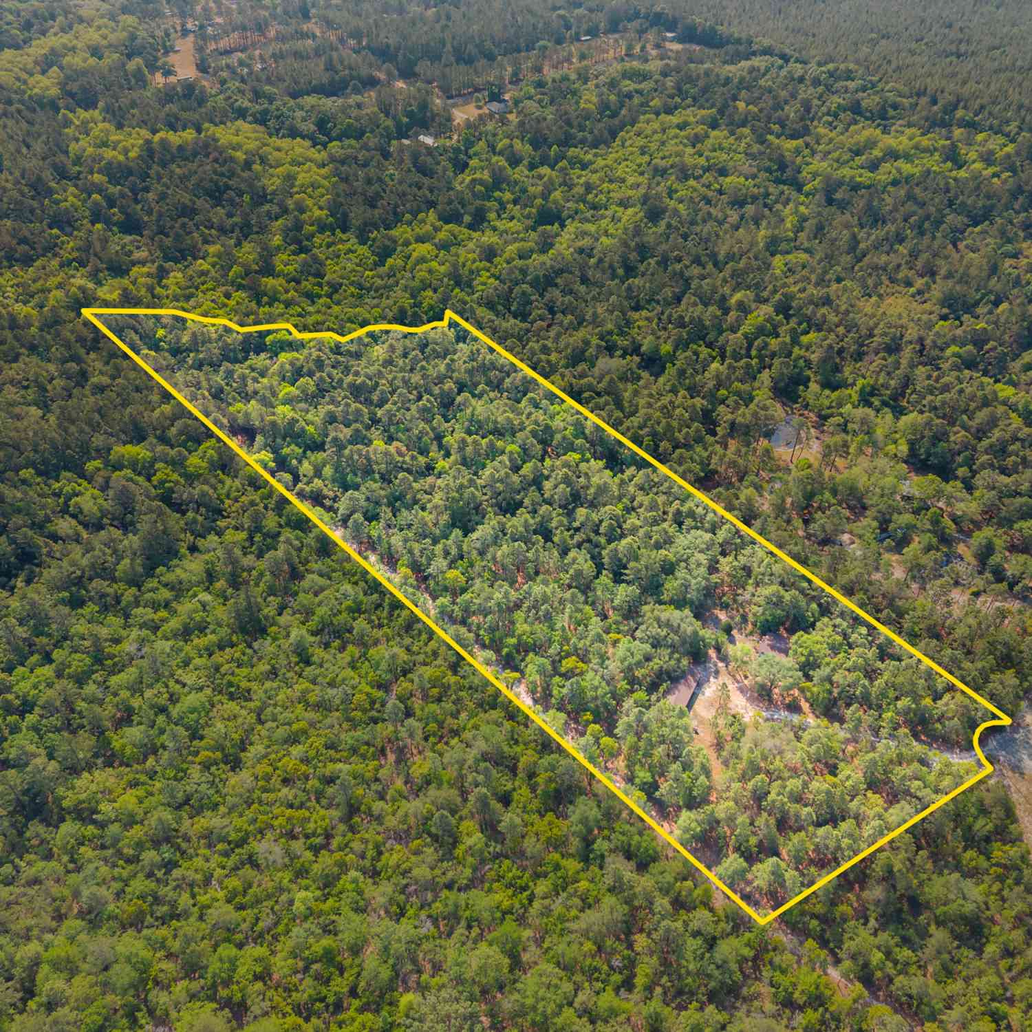 Vacant Land For Sale - 320 Sunset Road<br/> Bulloch County, Nevils, GA 31321