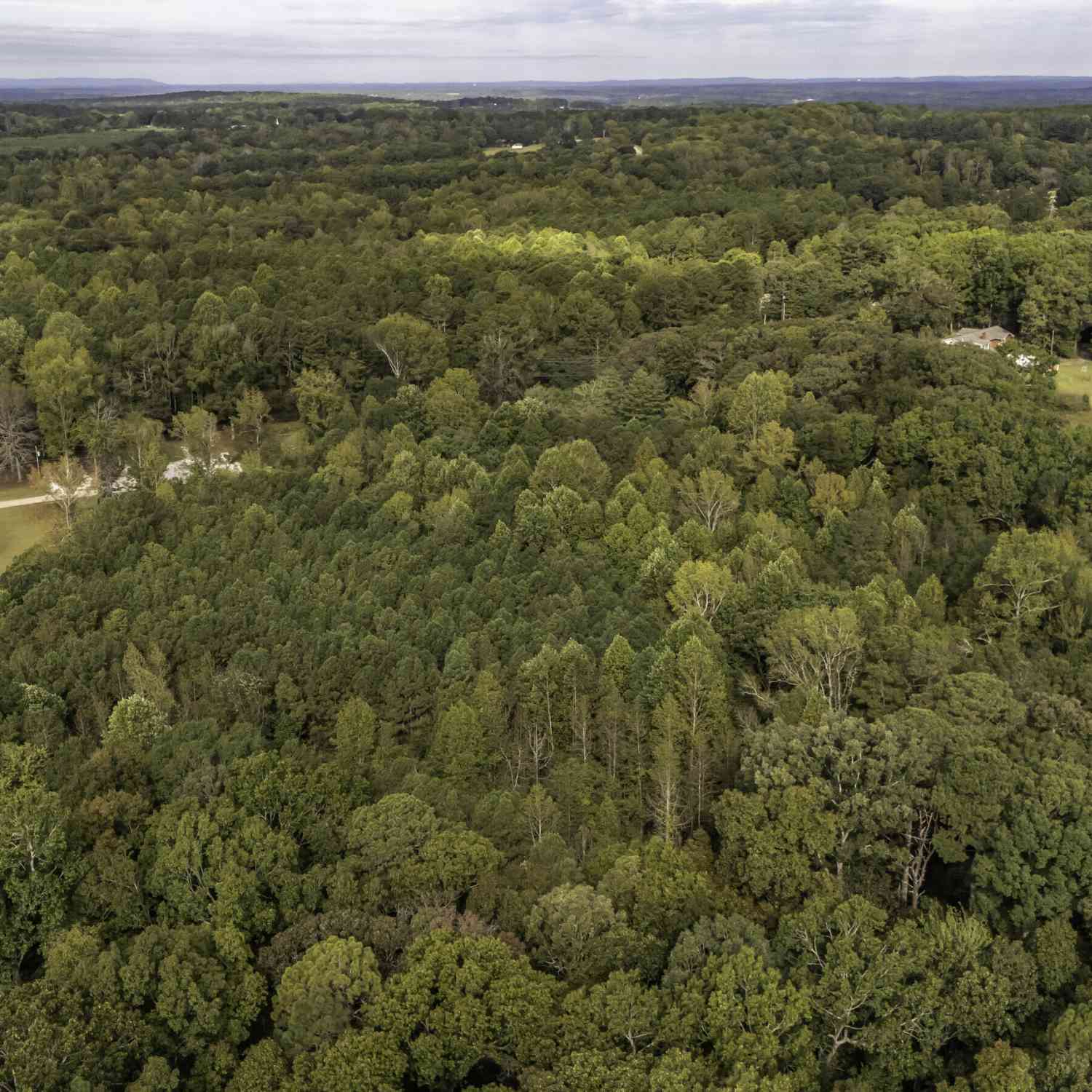 Vacant Land For Sale - Ringer Road<br/> Carrollton, GA 30116