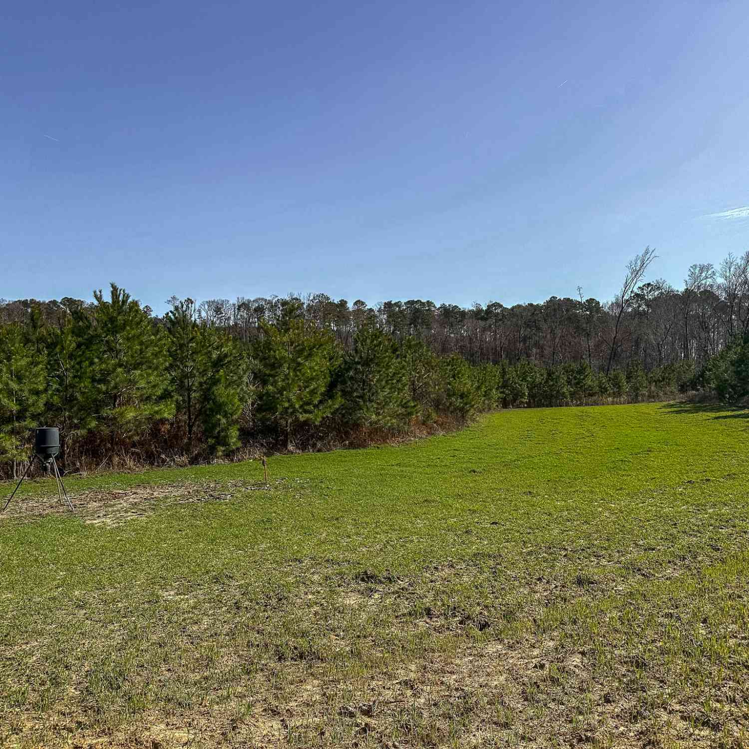 Vacant Land For Sale - 1298 Days Avenue<br/> Clay County, Morris, GA 39867