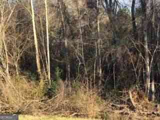 Vacant Land For Sale - Hwy 135<br/> Uvalda, GA 30473