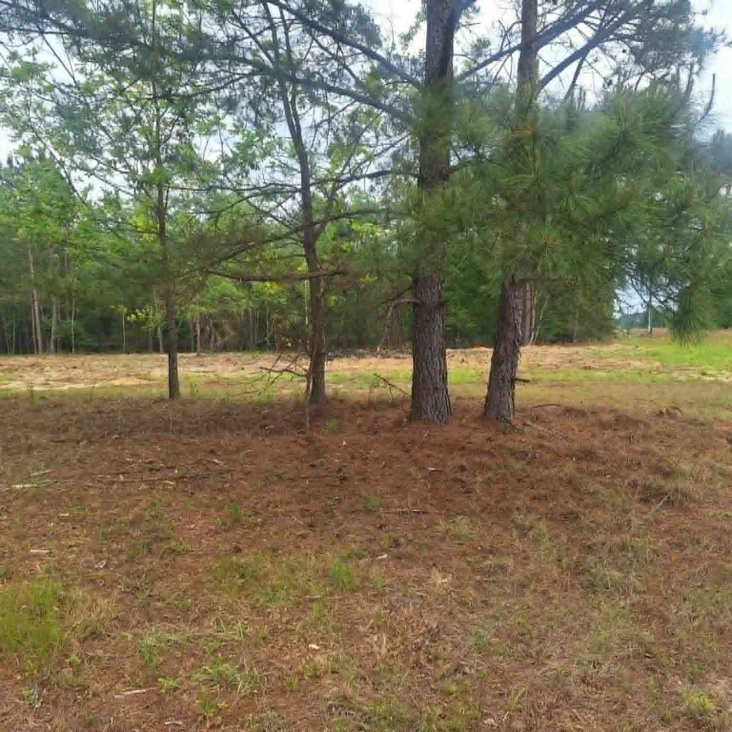 Vacant Land For Sale - Cv Mosley Boulevard<br/> Toombs County, Lyons, GA 30436