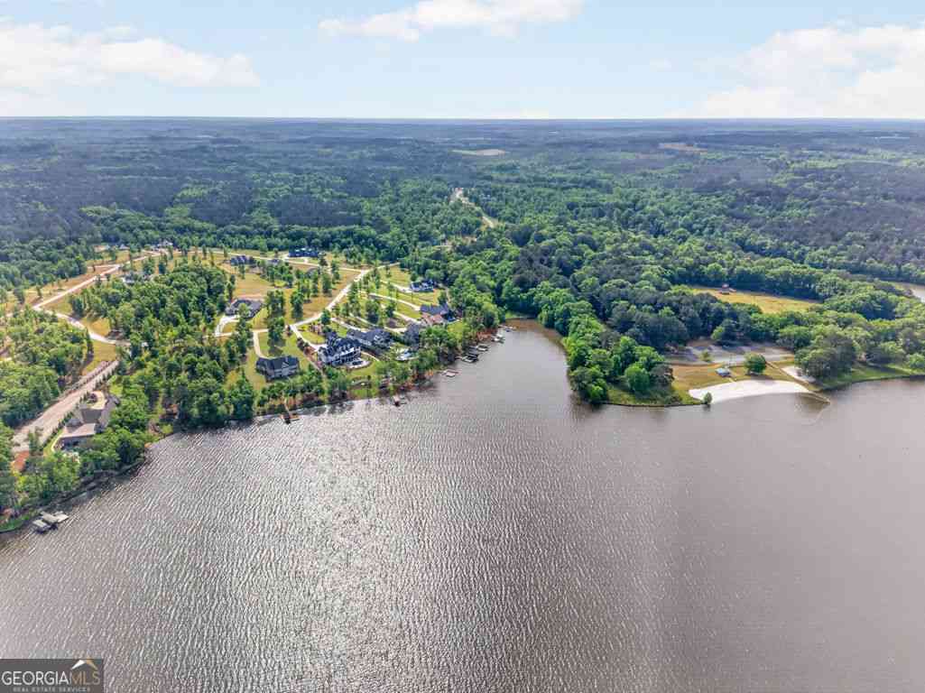 Vacant Land For Sale - Bayside Drive<br/> Greene County, Greensboro, GA 30642