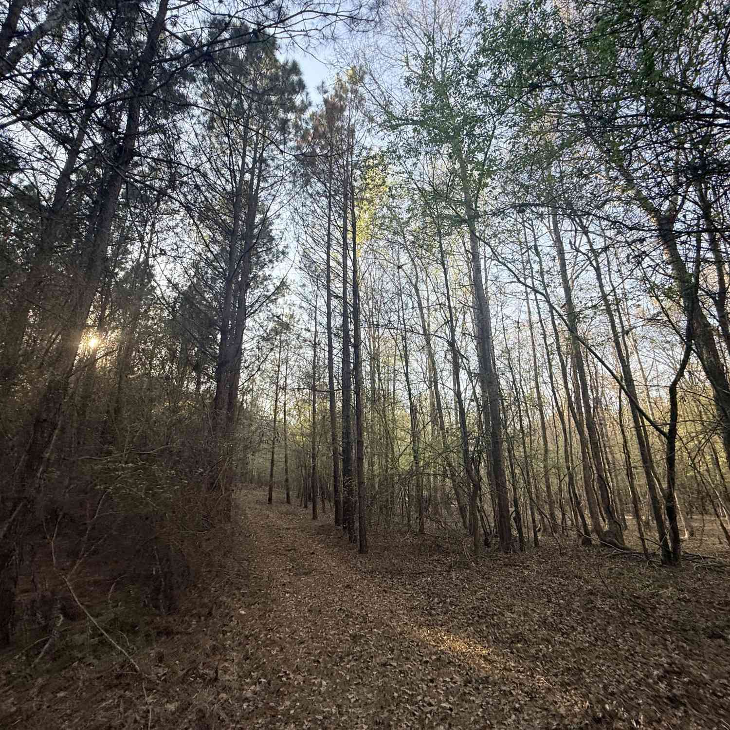 Vacant Land For Sale - 8 Hollis Norman Road<br/> Tignall, GA 30668