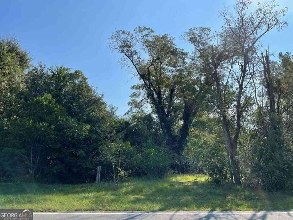 Vacant Land For Sale - 2006 Aimwell Road #1<br/> Vidalia, GA 30474