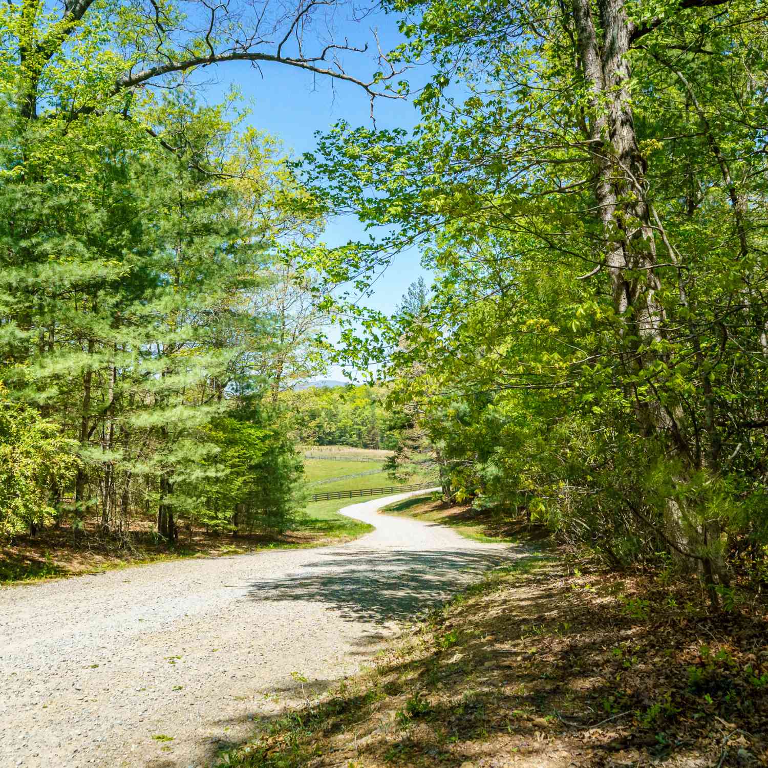 Vacant Land For Sale - LOT 35 Spring Camp Road<br/> Ellijay, GA 30536