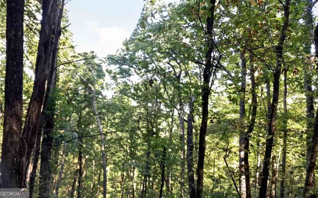 Vacant Land For Sale - Walnut Mountain Road #TRACT A<br/> Ellijay, GA 30536