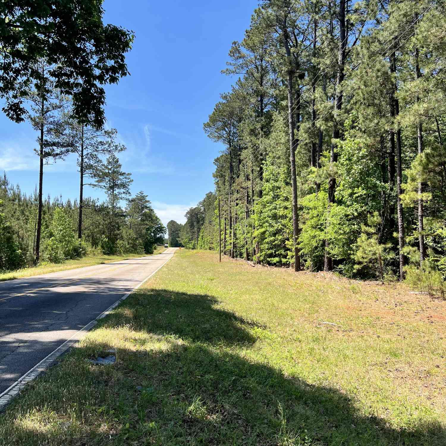 Vacant Land For Sale - Lyneville Road<br/> Crawfordville, GA 30631