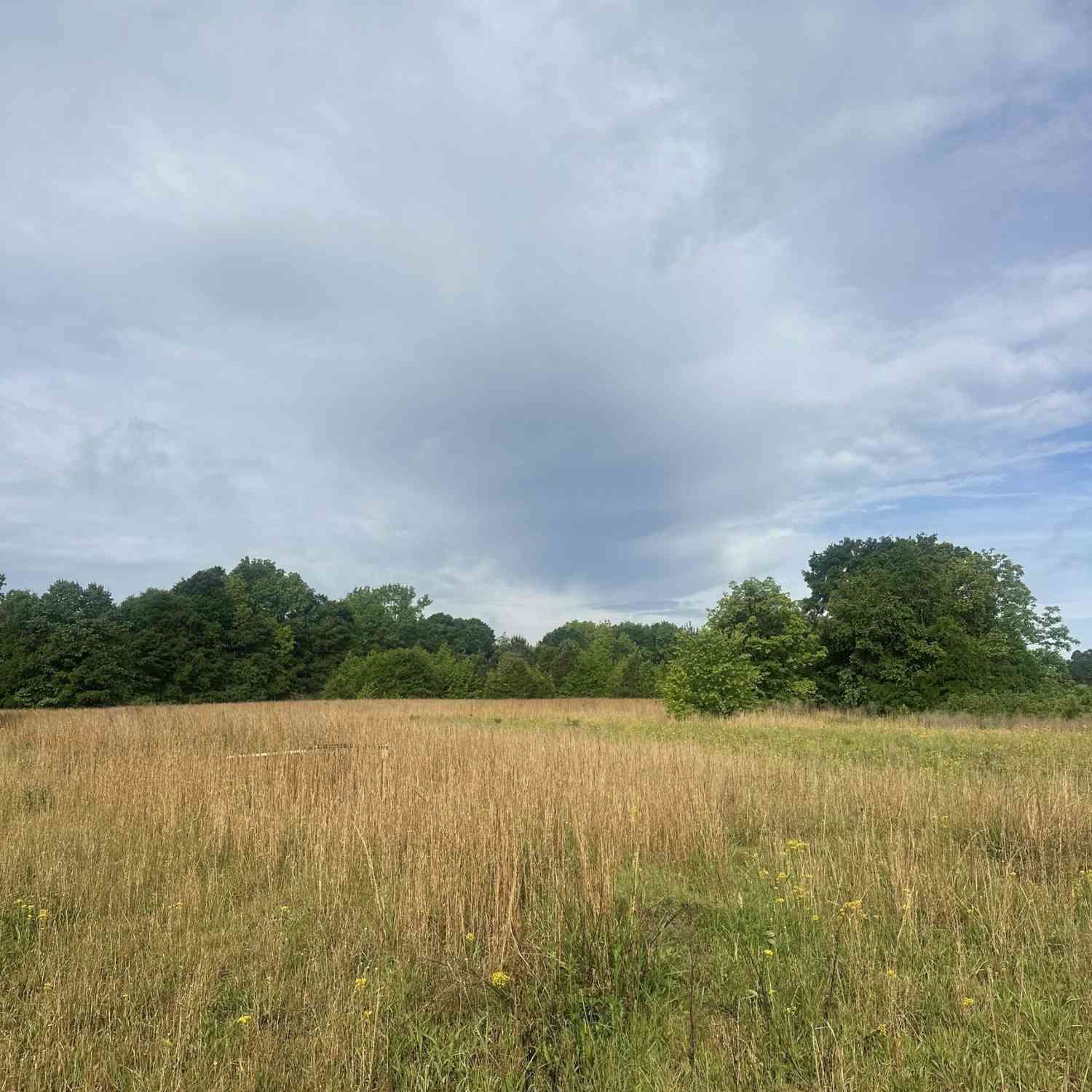 Vacant Land For Sale - 747 Sam Swindle Road<br/> Jackson County, Hull, GA 30646