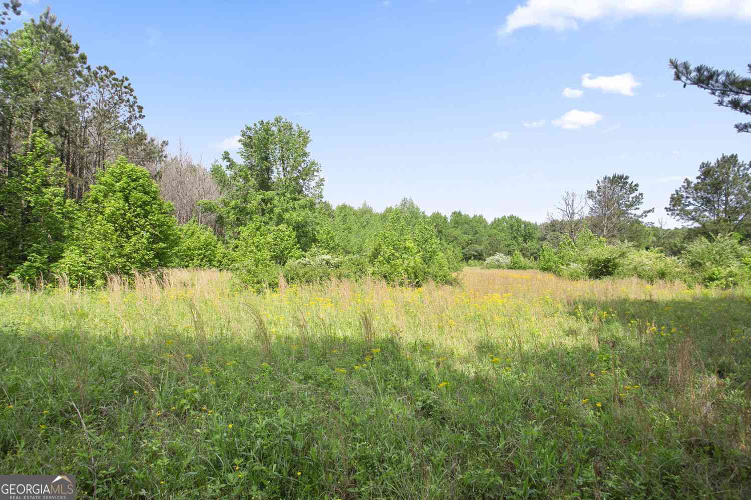 Vacant Land For Sale - 3ACRES Satcher Road<br/> Taylorsville, GA 30178