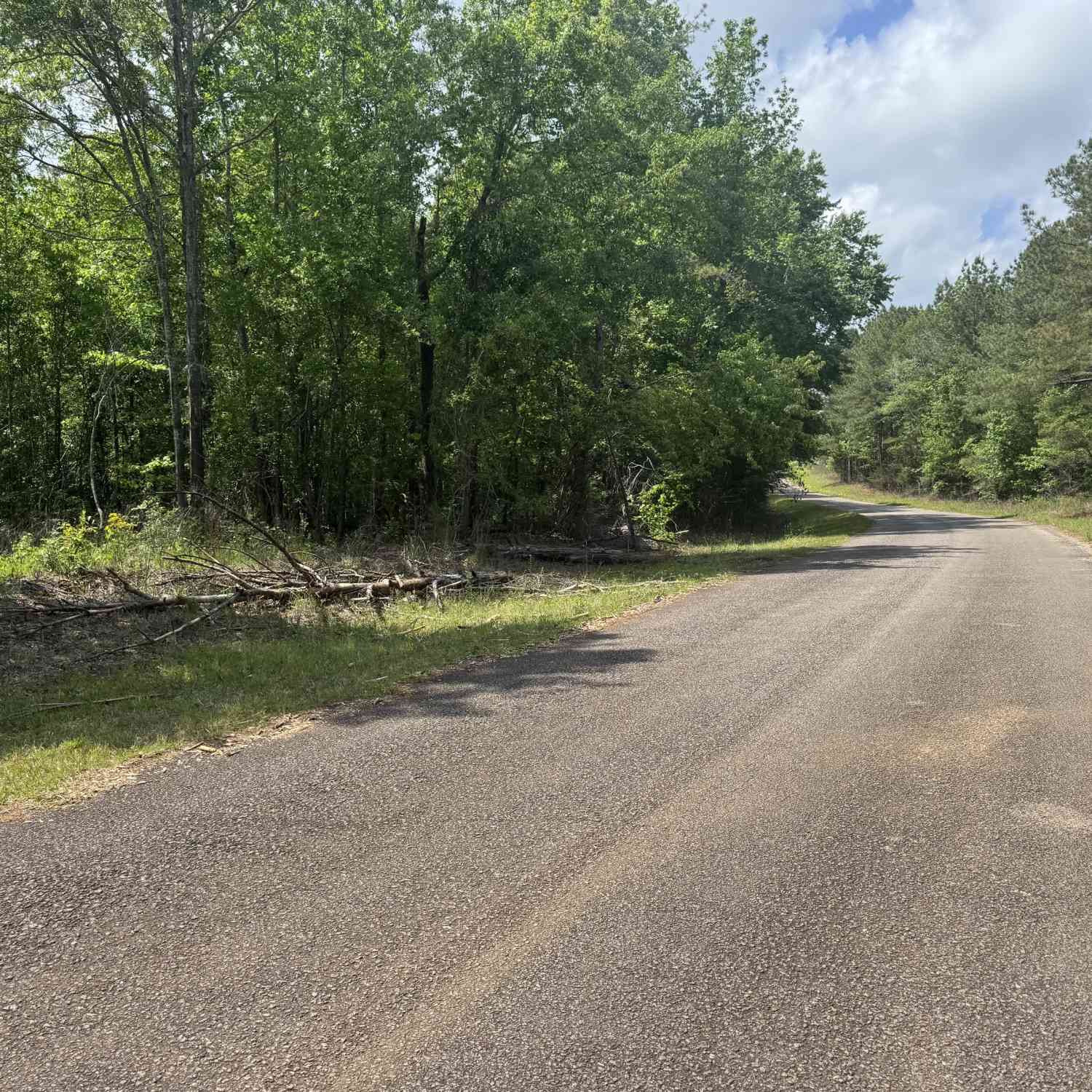 Vacant Land For Sale - County Road 865<br/> Randolph County, Roanoke, AL 36274