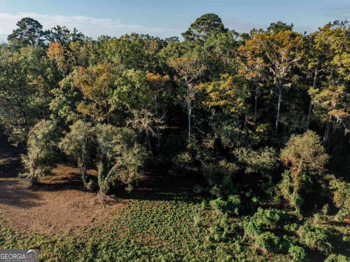 Vacant Land For Sale - Eagles Point #LOT 8<br/> Surrency, GA 31563
