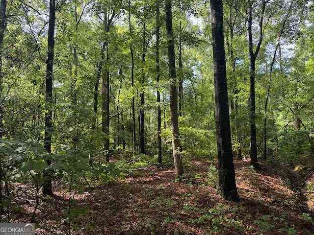 Vacant Land For Sale - LOT 08 Winchester Way<br/> Sandersville, GA 31082