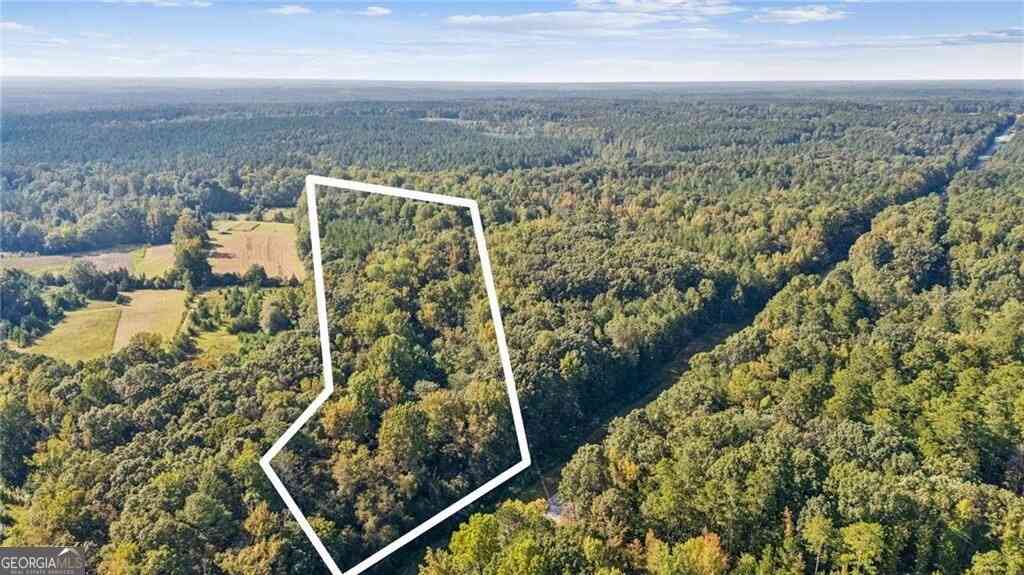 Vacant Land For Sale - Elberton Road<br/> Carlton, GA 30627
